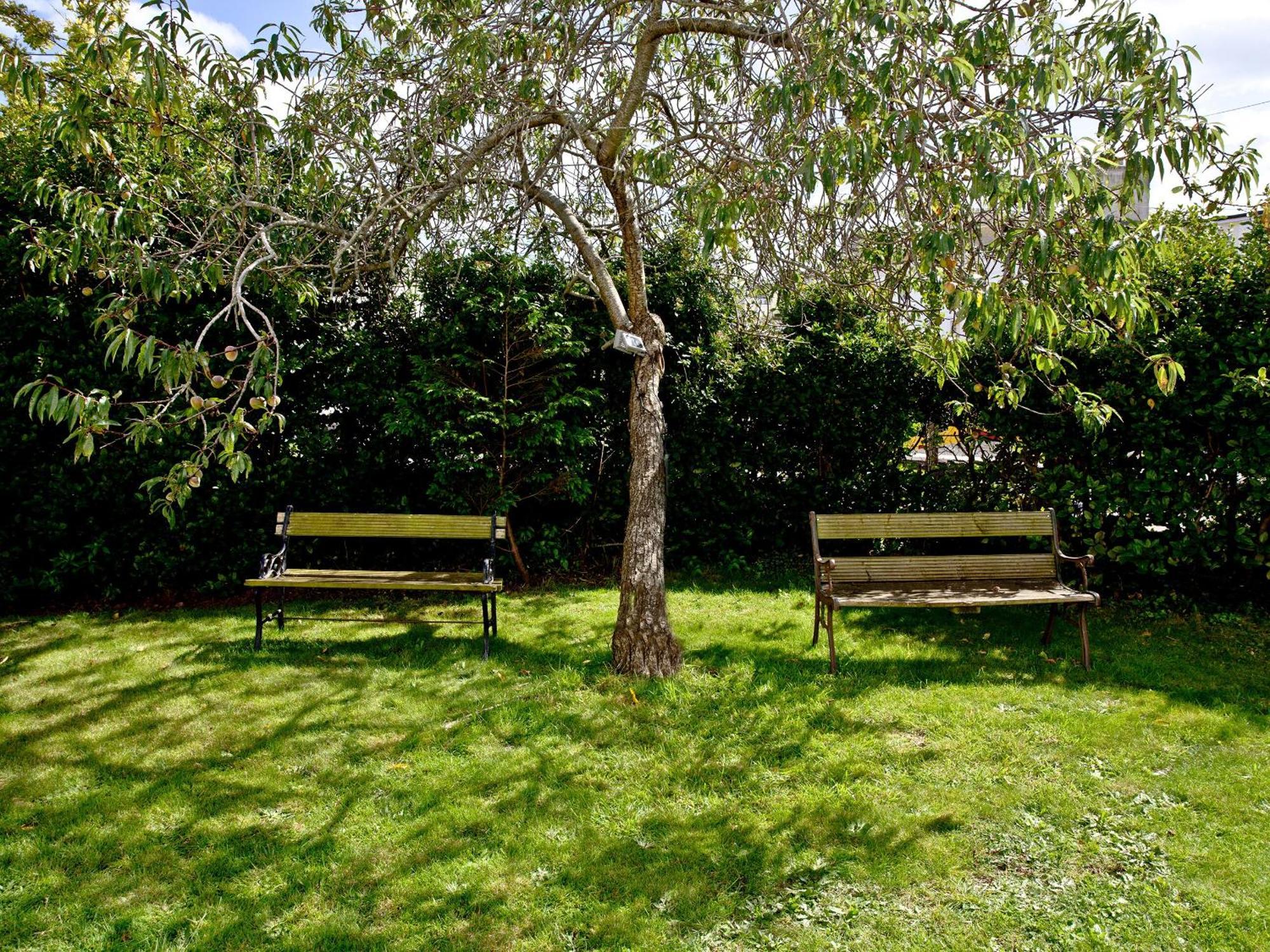 Devon Villa Garden Apartment Torquay Exterior photo